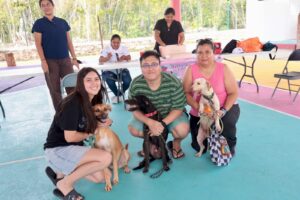 Isla Mujeres realiza campaña gratuita de vacunación antirrábica para perros y gatos